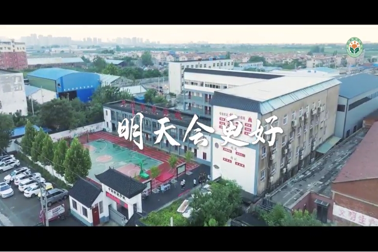 video Image