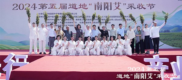 2024年第五届道地“南阳艾”采收节圆满成功