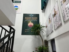 国医仲景艾灸店加盟价格（标准店49900元）