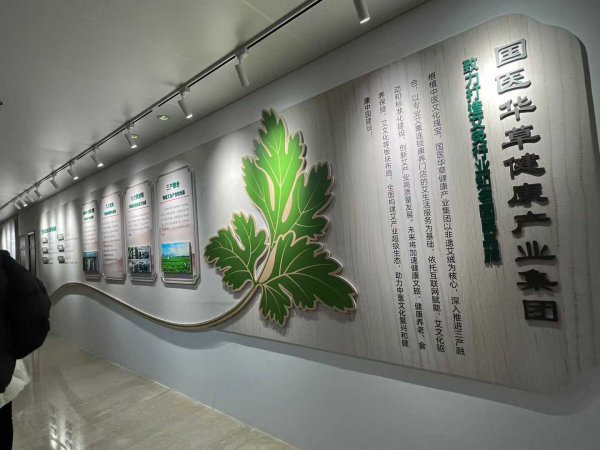 国医仲景2025年—2030年五年规划