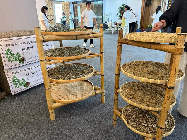 真艾无价三年陈储，国医仲景全产业链守护纯艾